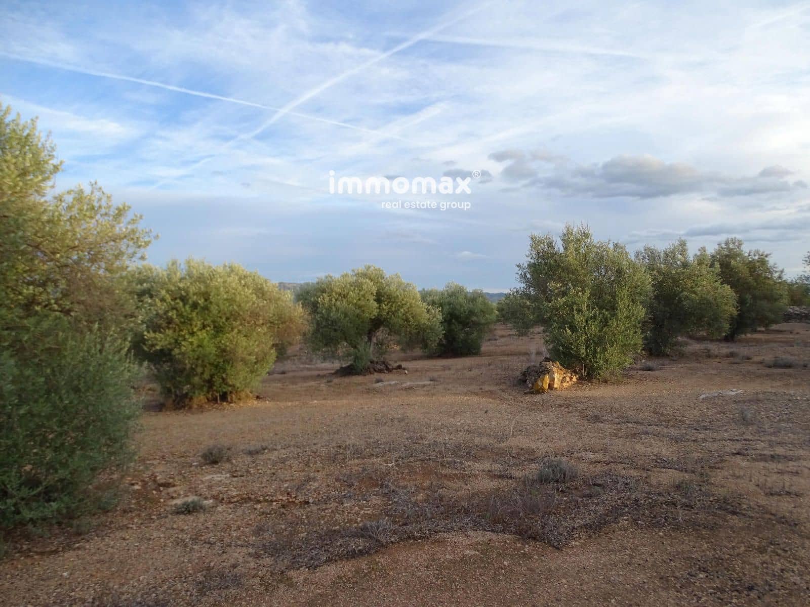 Undeveloped Land for sale in Xerta - € 59,000 (Ref: 9138487)