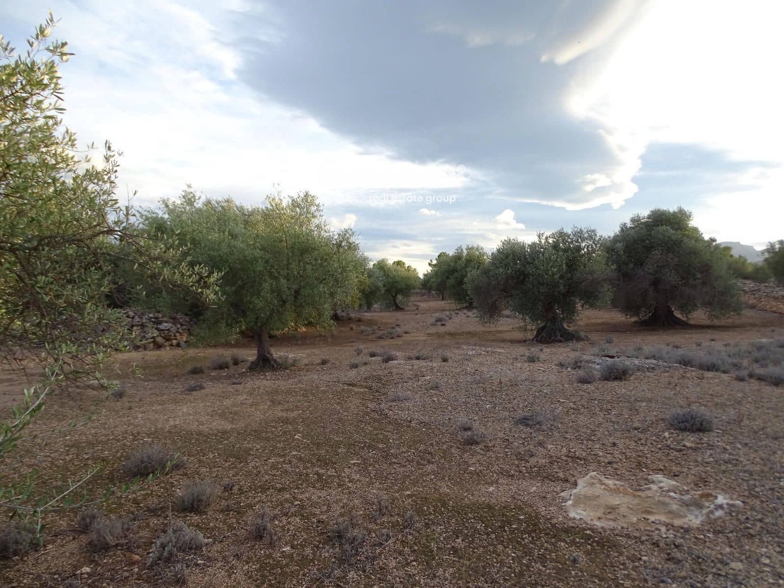 Undeveloped Land for sale in Xerta - € 59,000 (Ref: 9138487)