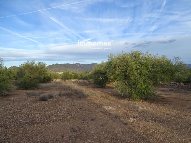 Undeveloped Land for sale in Xerta - € 59,000 (Ref: 9138487)