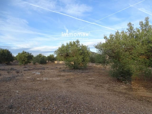 Undeveloped Land for sale in Xerta - € 59,000 (Ref: 9138487)