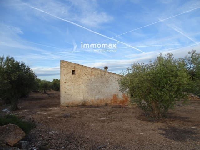 Undeveloped Land for sale in Xerta - € 59,000 (Ref: 9138487)