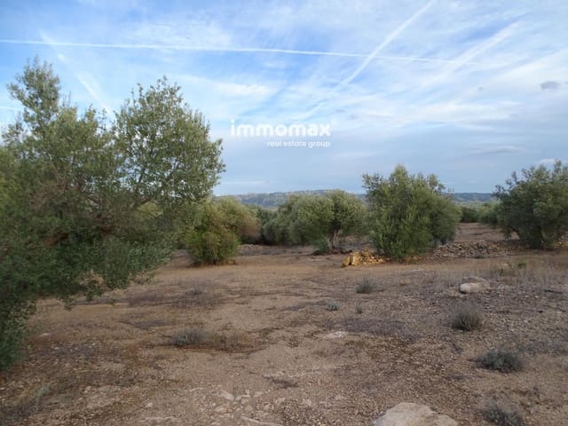 Undeveloped Land for sale in Xerta - € 59,000 (Ref: 9138487)