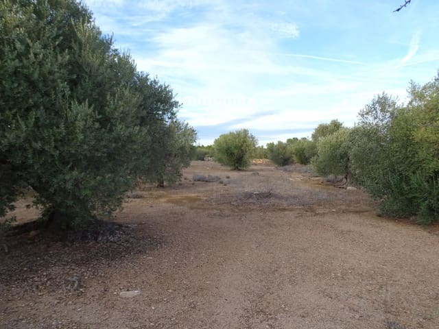 Undeveloped Land for sale in Xerta - € 59,000 (Ref: 9138487)