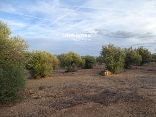 Undeveloped Land for sale in Xerta - € 59,000 (Ref: 9138487)