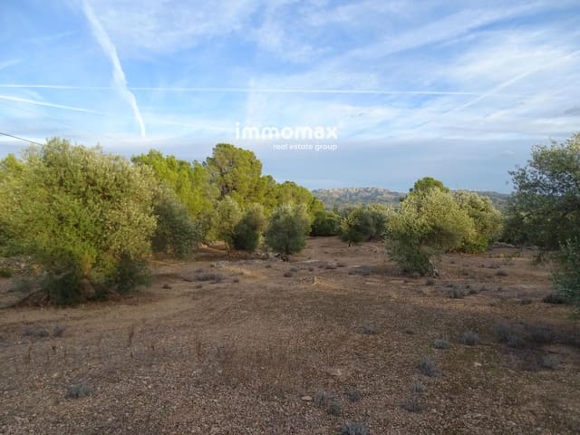 Undeveloped Land for sale in Xerta - € 59,000 (Ref: 9138487)