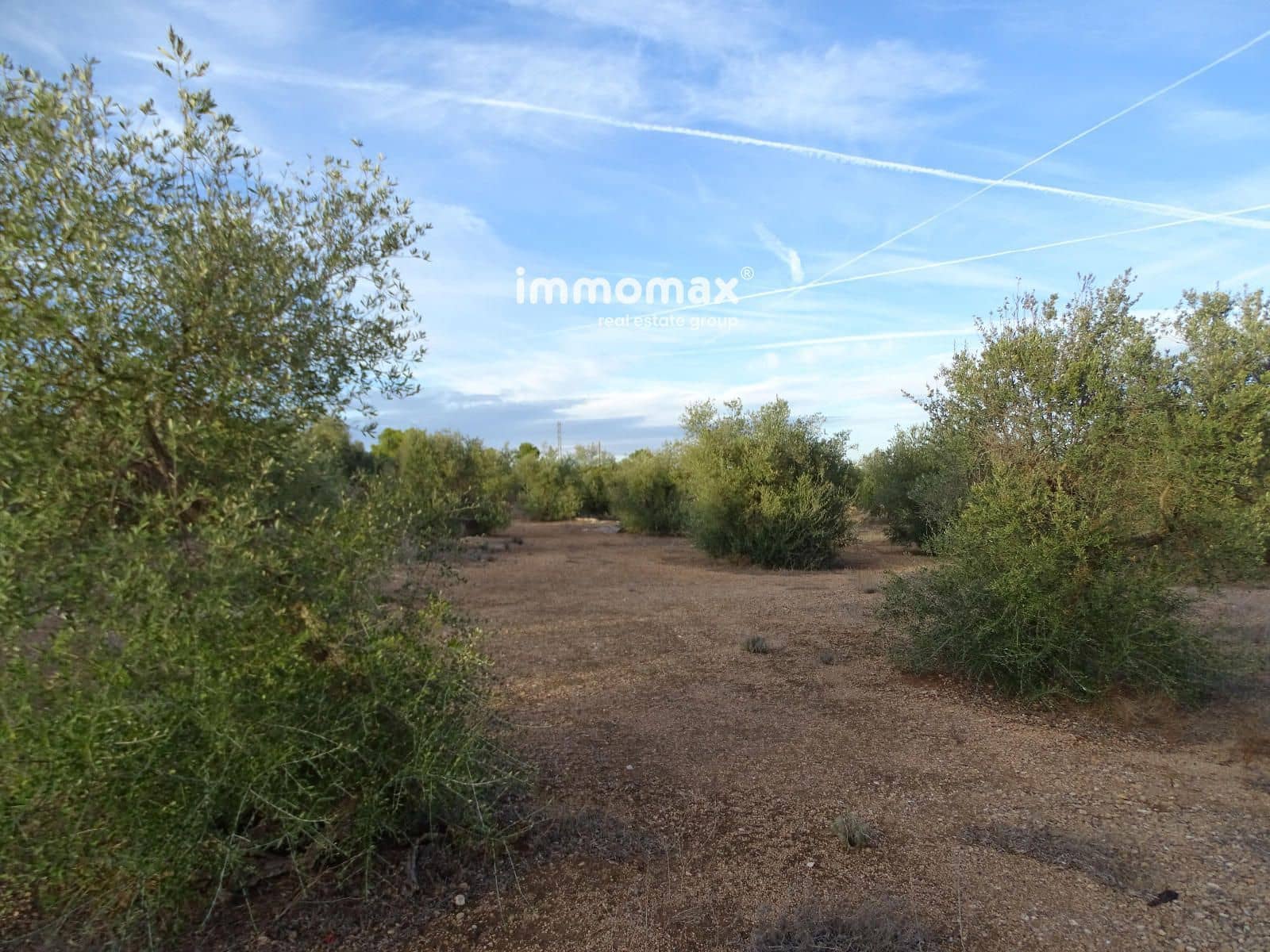 Undeveloped Land for sale in Xerta - € 59,000 (Ref: 9138487)