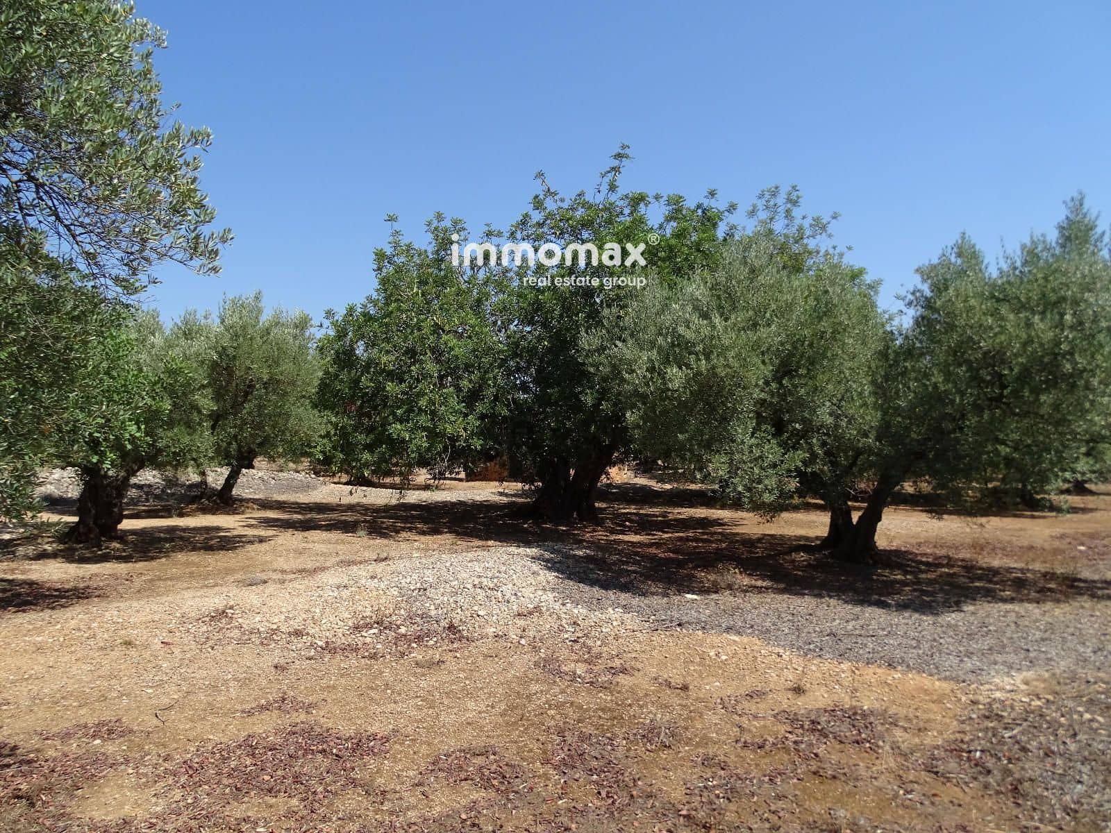 Undeveloped Land for sale in Xerta - € 59,000 (Ref: 9138487)