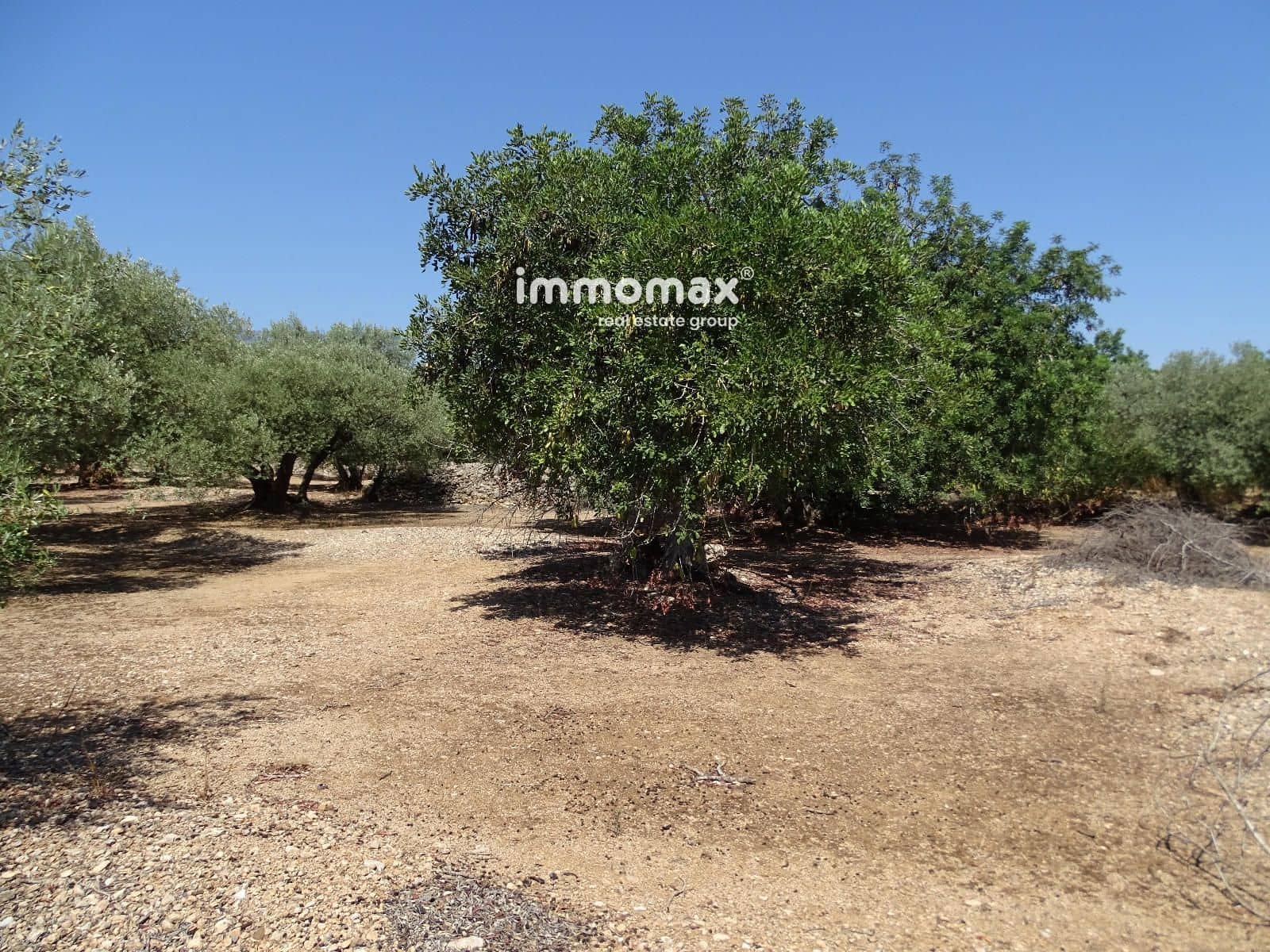 Undeveloped Land for sale in Xerta - € 59,000 (Ref: 9138487)