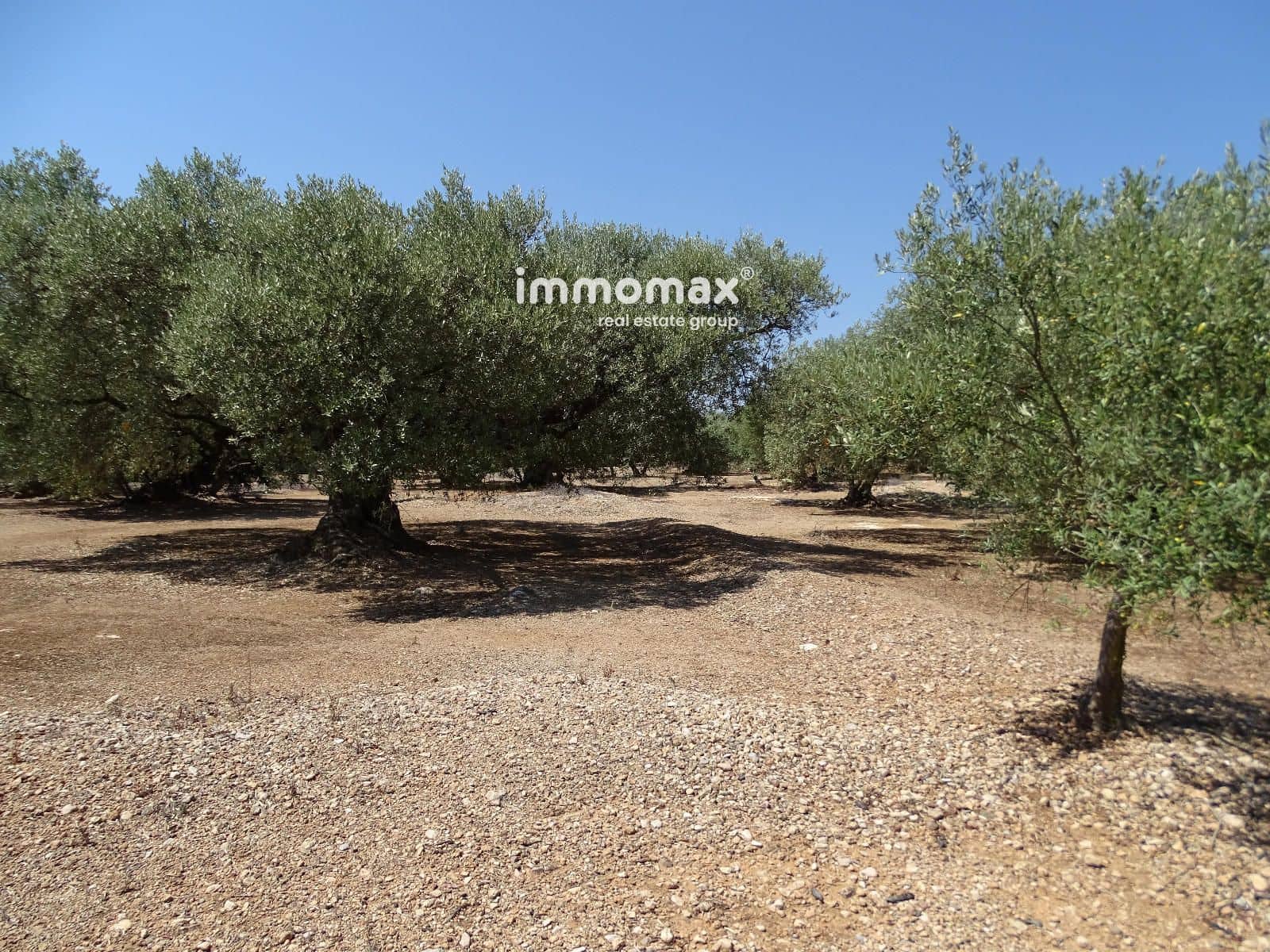 Undeveloped Land for sale in Xerta - € 59,000 (Ref: 9138487)