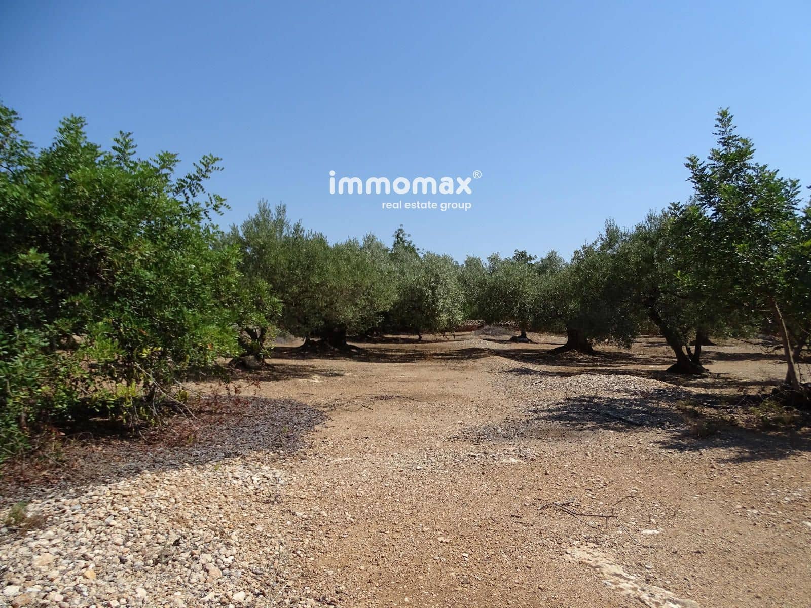 Undeveloped Land for sale in Xerta - € 59,000 (Ref: 9138487)