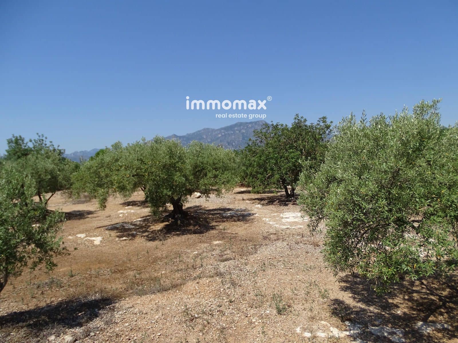 Undeveloped Land for sale in Xerta - € 59,000 (Ref: 9138487)