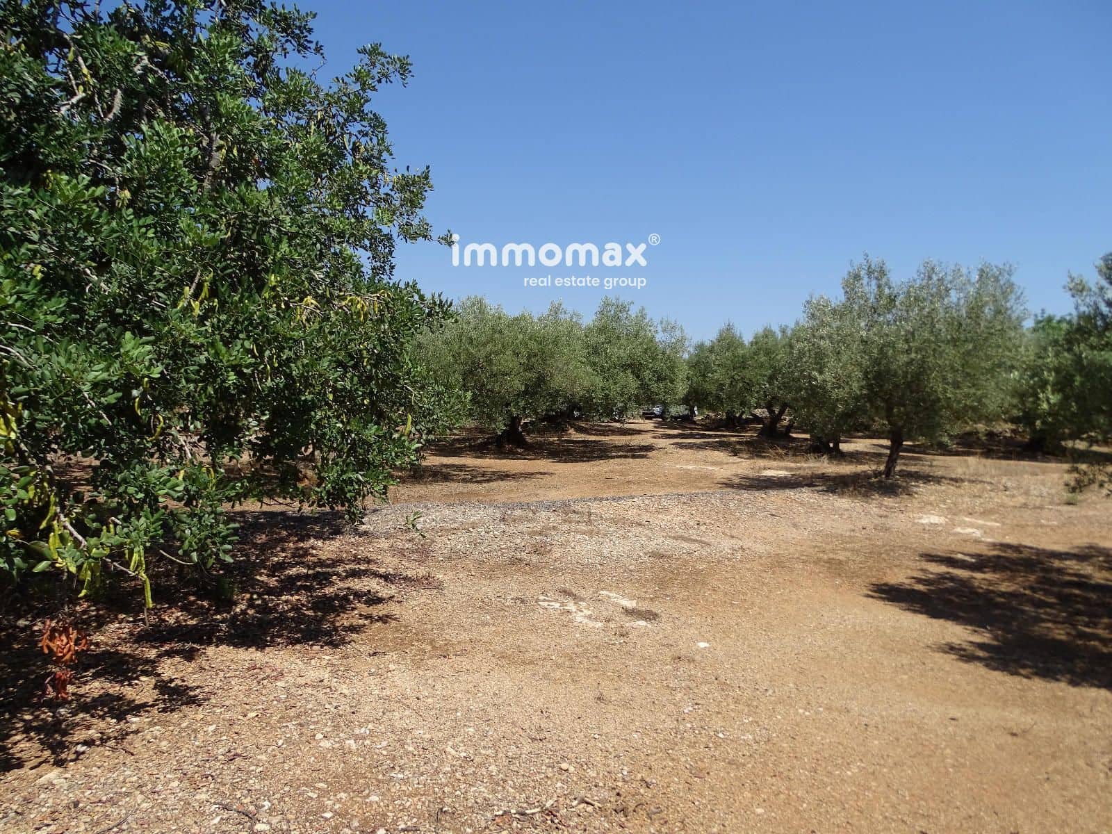 Undeveloped Land for sale in Xerta - € 59,000 (Ref: 9138487)