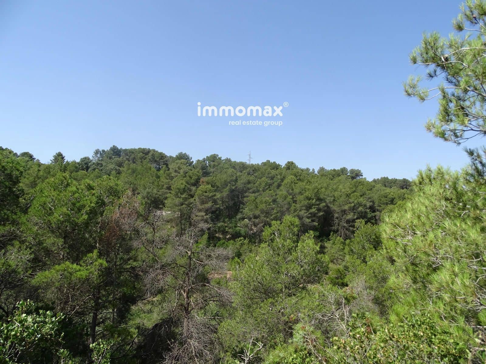 Grunde uden byggetilladelser til salg i Caseres - € 59.000 (Ref: 9152732)