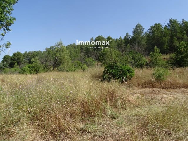 Mark till salu i Caseres - 59 000 € (Ref: 9152732)