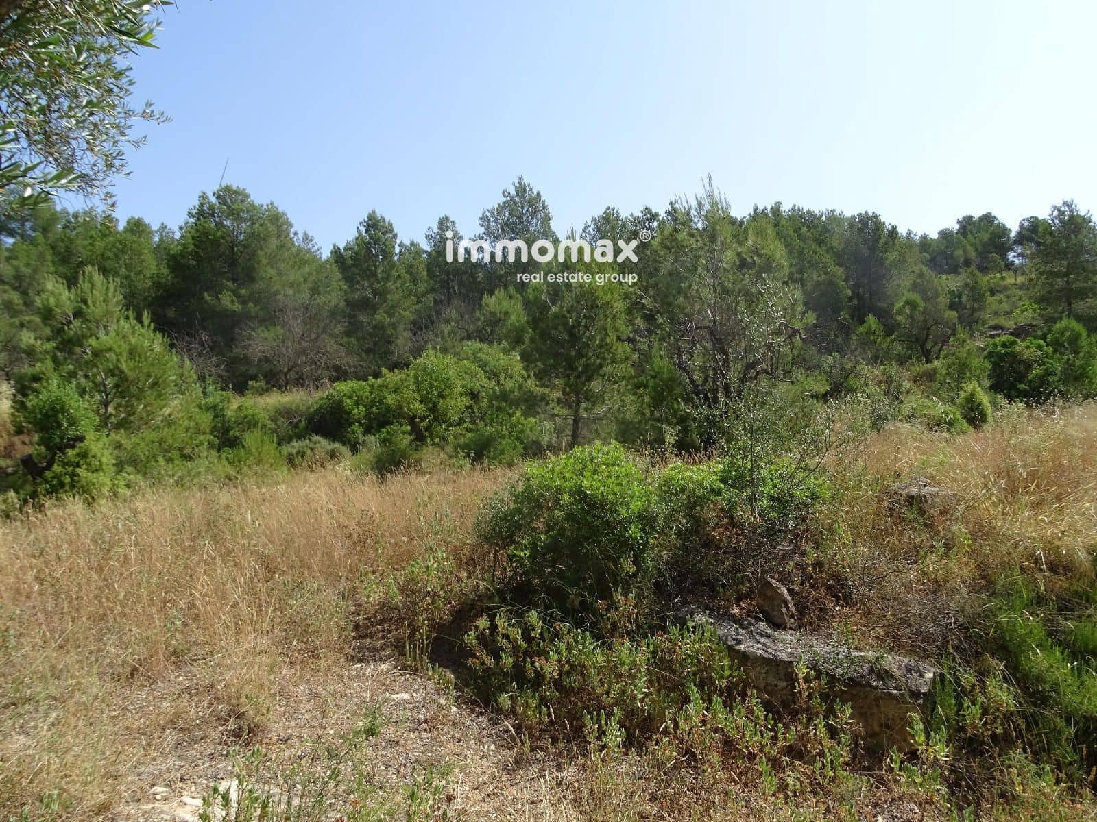 Grunde uden byggetilladelser til salg i Caseres - € 59.000 (Ref: 9152732)