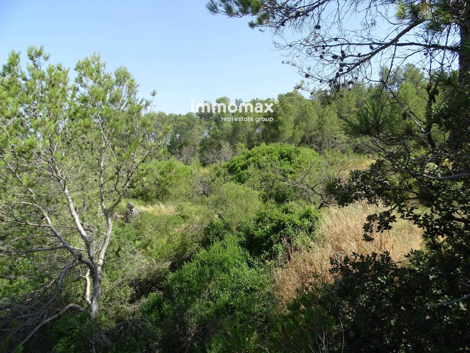 Grunde uden byggetilladelser til salg i Caseres - € 59.000 (Ref: 9152732)