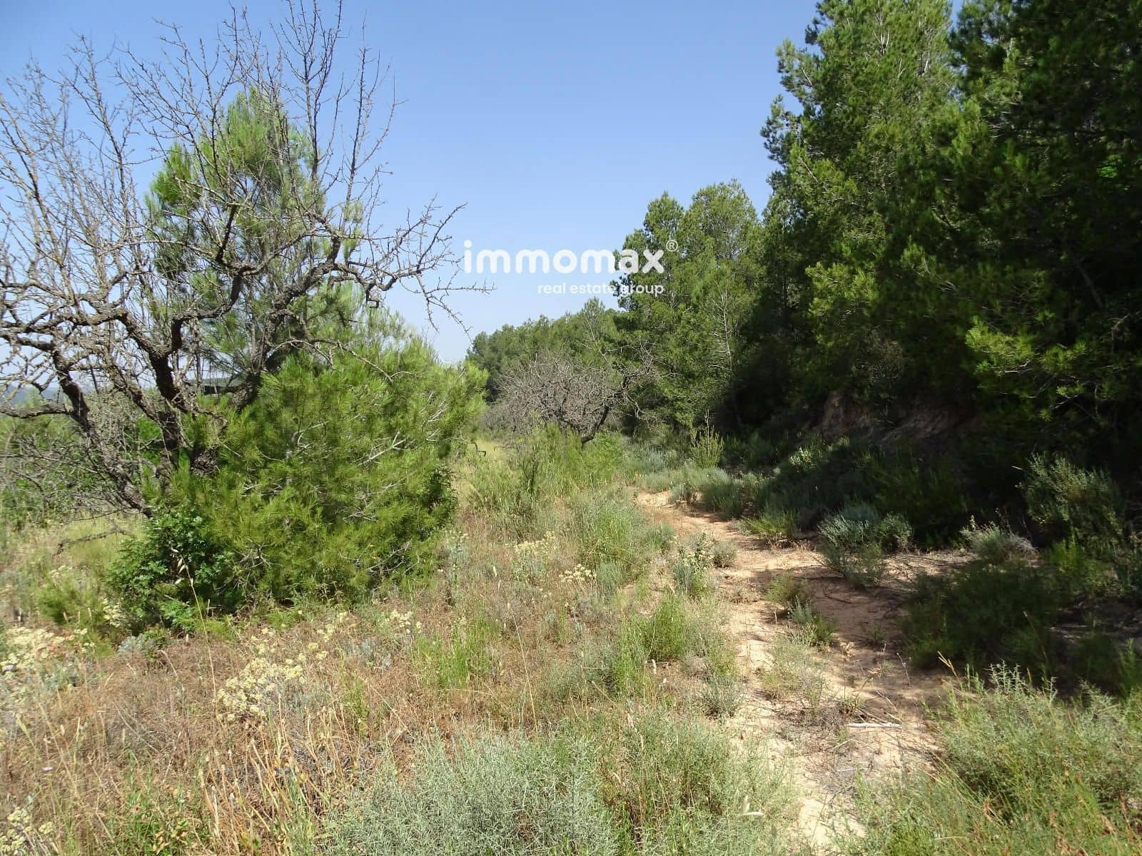 Grunde uden byggetilladelser til salg i Caseres - € 59.000 (Ref: 9152732)