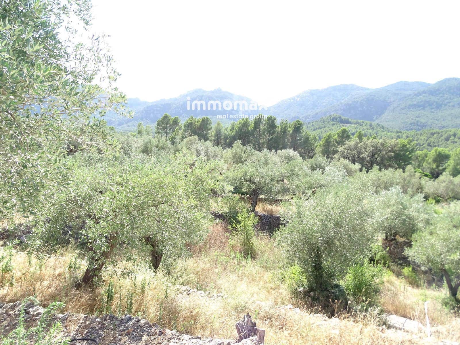 Grunde uden byggetilladelser til salg i Pauls - € 169.000 (Ref: 9164355)