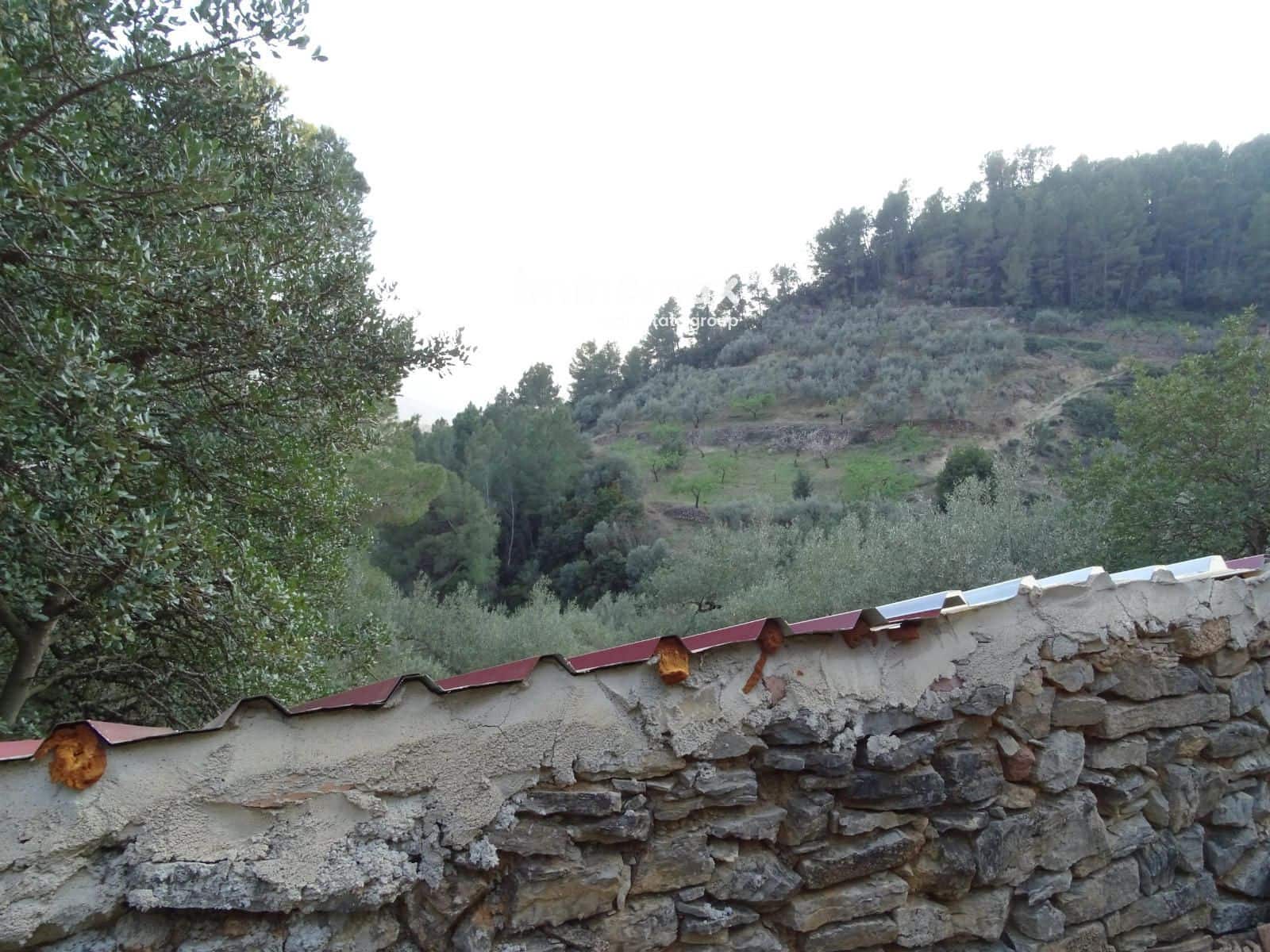 Rakentamaton maa myytävänä paikassa Pauls - 25 000 € (Ref: 9203157)