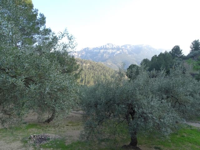 Mark till salu i Paüls - 25 000 € (Ref: 9203157)