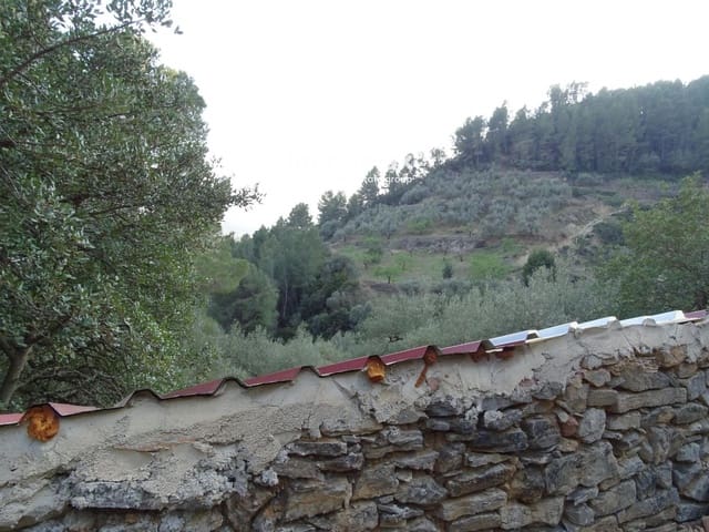 Mark till salu i Paüls - 25 000 € (Ref: 9203157)