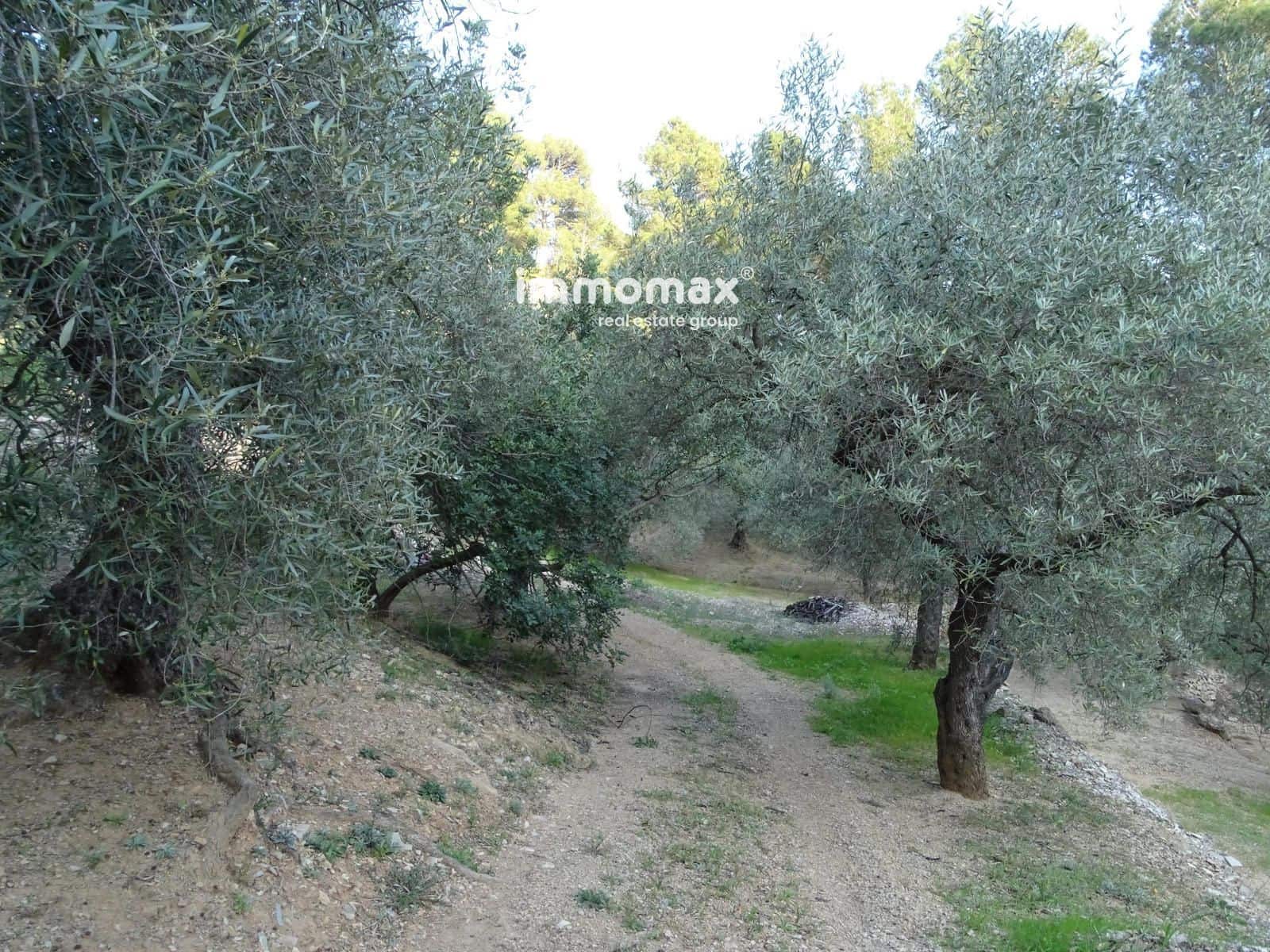 Rakentamaton maa myytävänä paikassa Pauls - 25 000 € (Ref: 9203157)