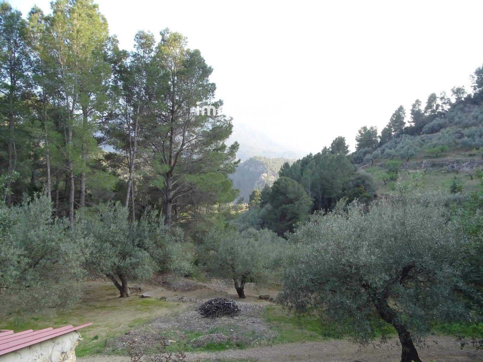 Rakentamaton maa myytävänä paikassa Pauls - 25 000 € (Ref: 9203157)