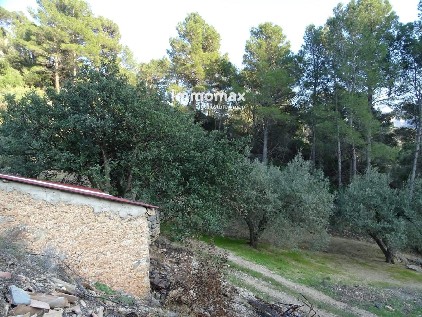 Rakentamaton maa myytävänä paikassa Pauls - 25 000 € (Ref: 9203157)