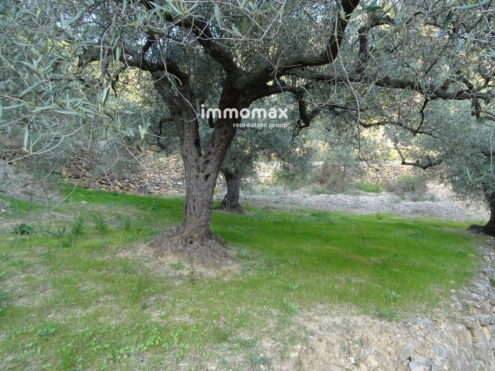 Rakentamaton maa myytävänä paikassa Pauls - 25 000 € (Ref: 9203157)