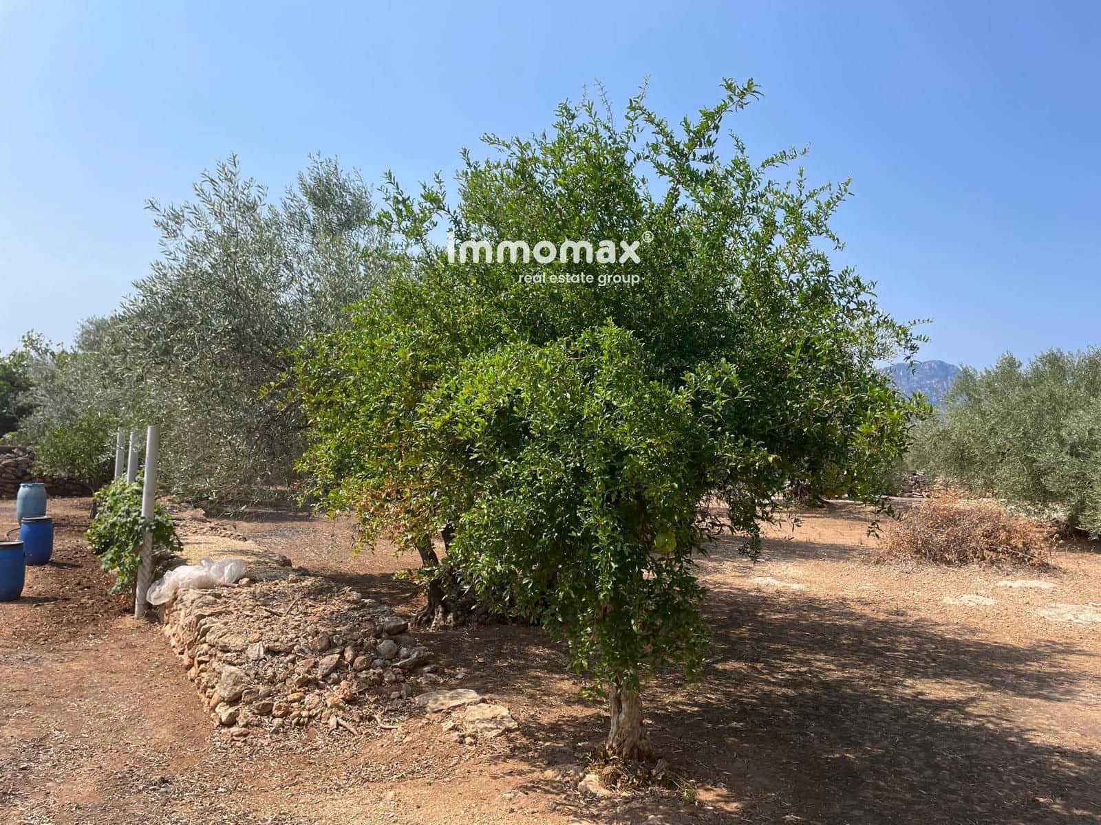 1 soveværelse Villa til salg i Aldover med swimmingpool garage - € 210.000 (Ref: 9273155)