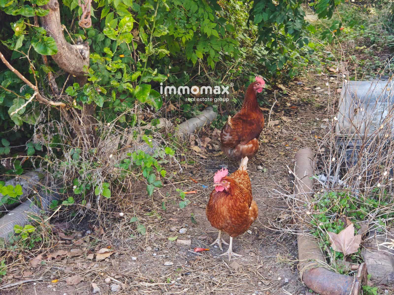 Bouwgrond te koop in Viladecans - € 650.000 (Ref: 9283539)