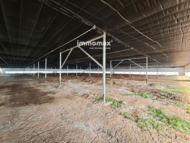 Bouwgrond te koop in Viladecans - € 650.000 (Ref: 9283539)