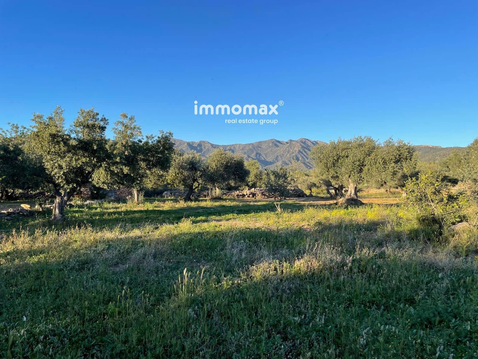 Ubebygd land til salgs i Tivenys - € 12 000 (Ref: 9296057)