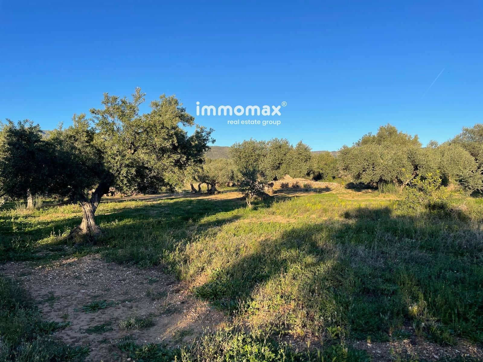 Ubebygd land til salgs i Tivenys - € 12 000 (Ref: 9296057)