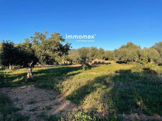 Rakentamaton maa myytävänä paikassa Tivenys - 12 000 € (Ref: 9296057)