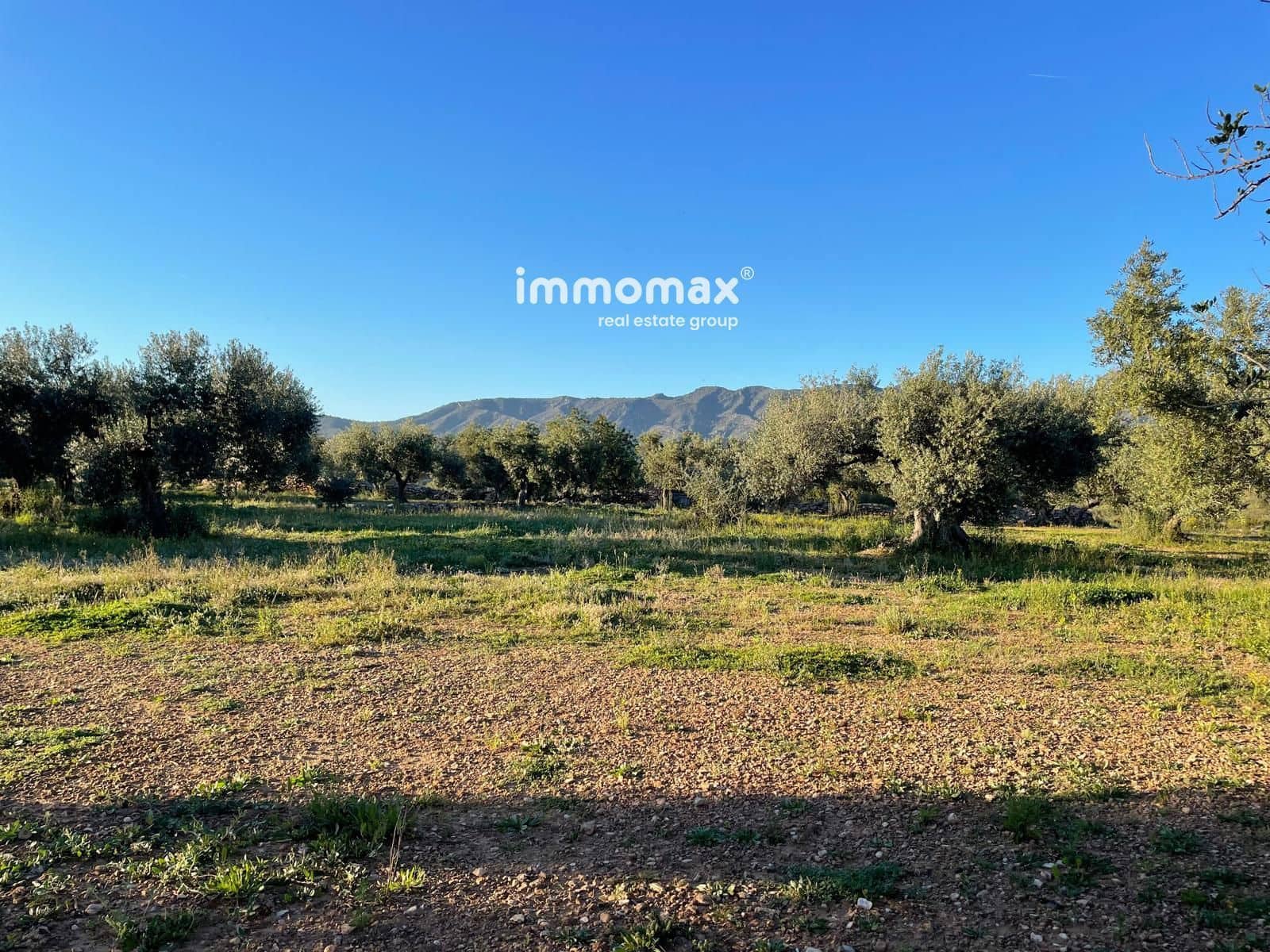 Ubebygd land til salgs i Tivenys - € 12 000 (Ref: 9296057)