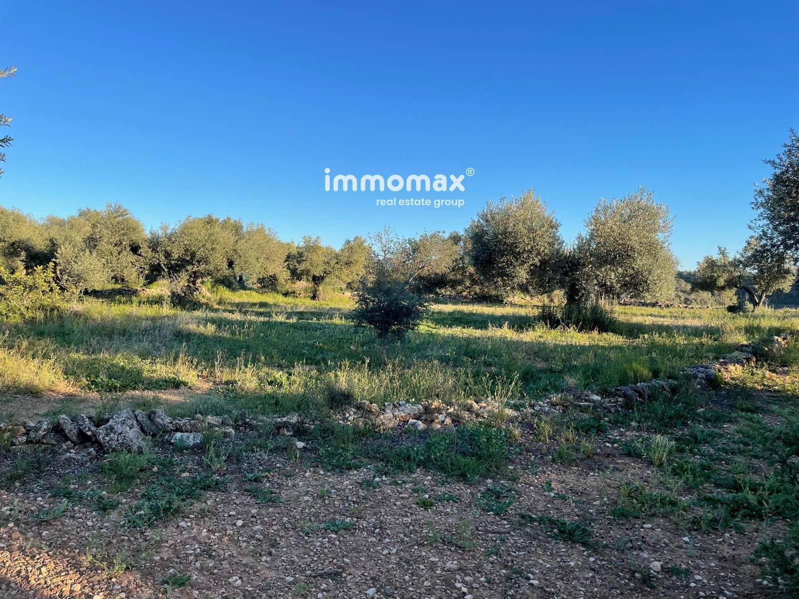 Ubebygd land til salgs i Tivenys - € 12 000 (Ref: 9296057)