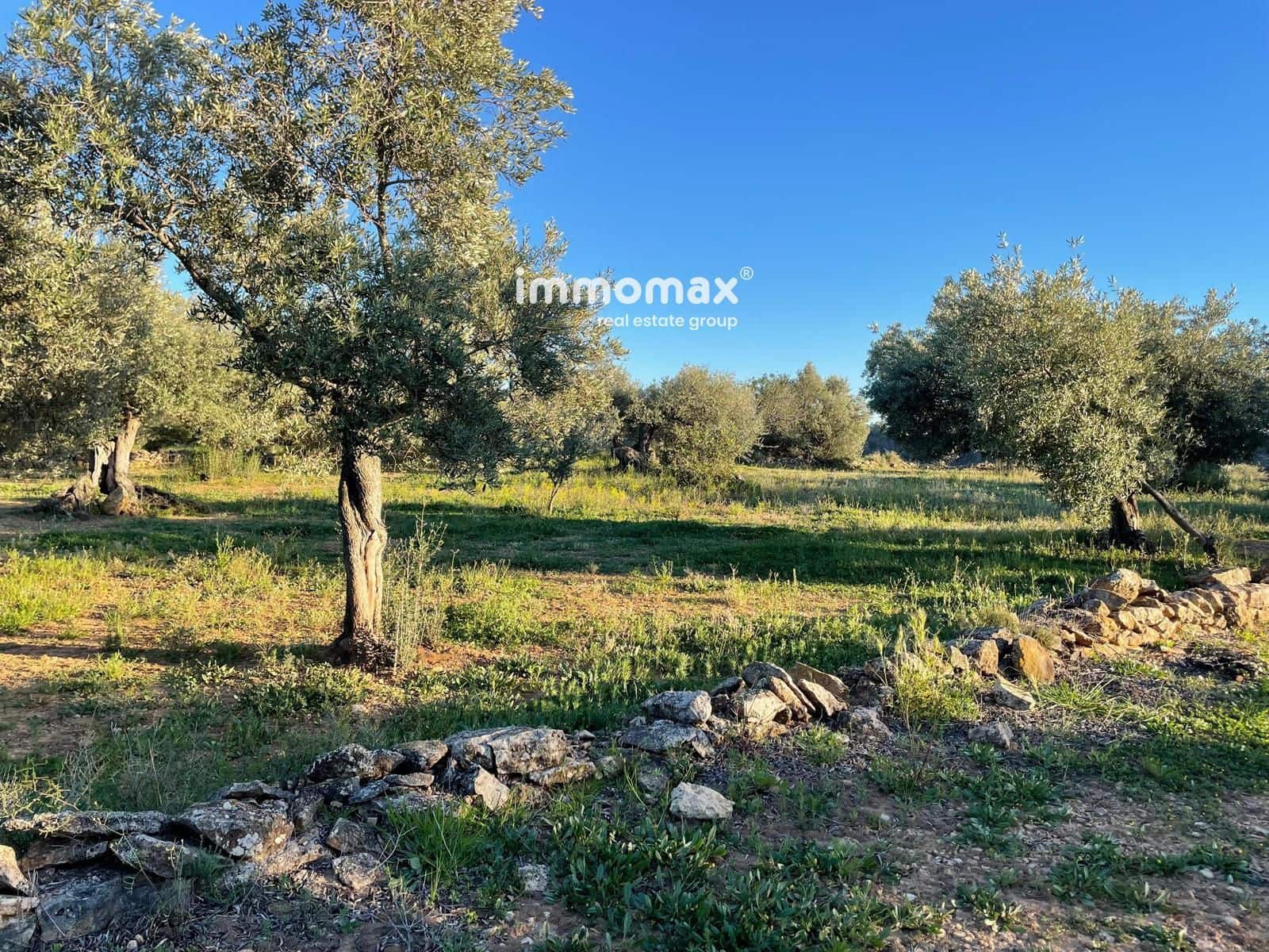 Ubebygd land til salgs i Tivenys - € 12 000 (Ref: 9296057)