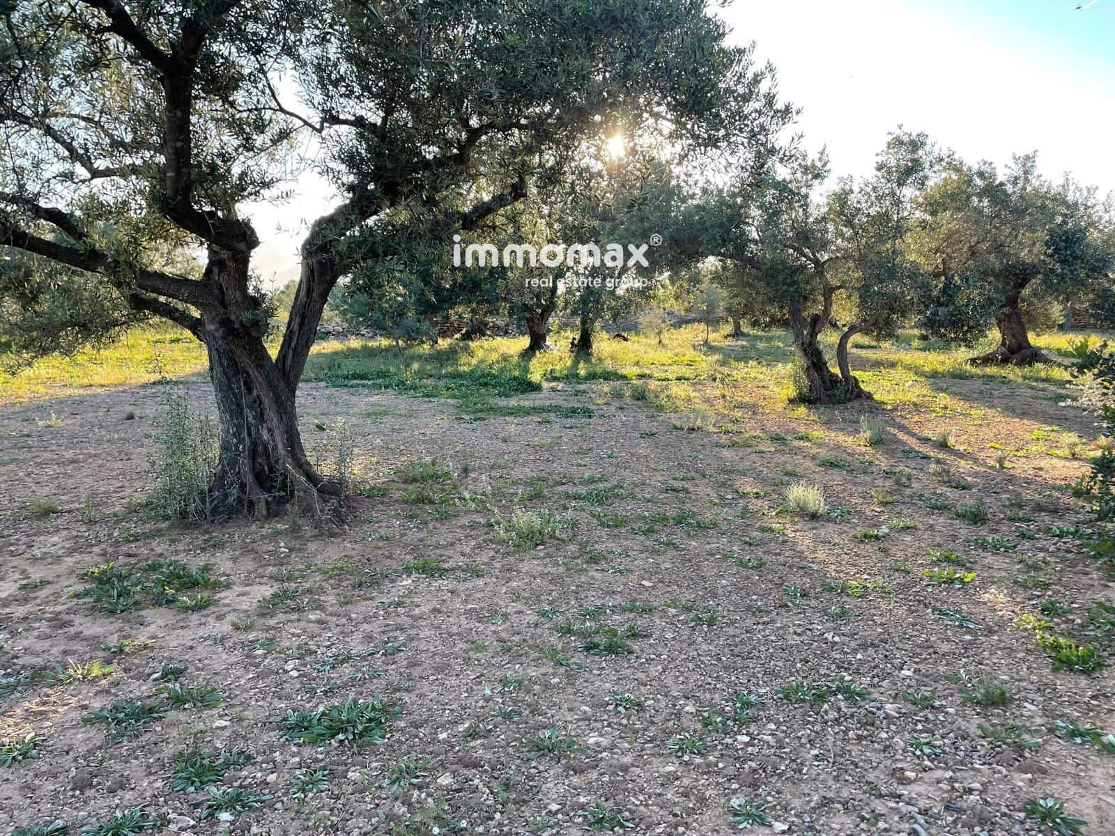 Ubebygd land til salgs i Tivenys - € 12 000 (Ref: 9296057)