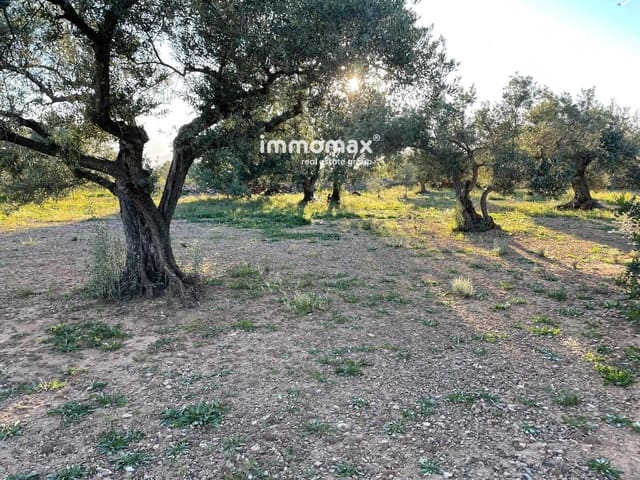 Rakentamaton maa myytävänä paikassa Tivenys - 12 000 € (Ref: 9296057)