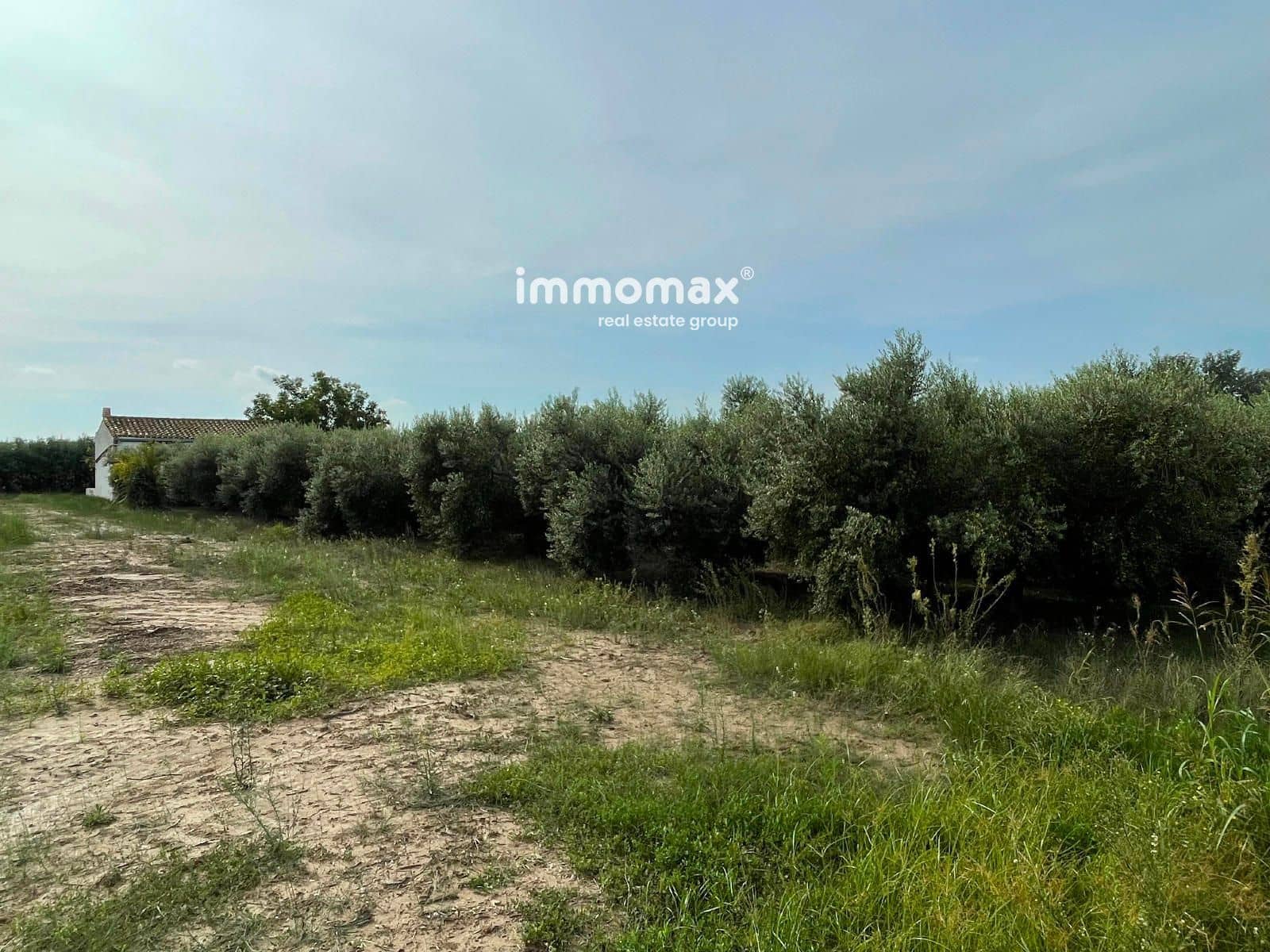 Grunde uden byggetilladelser til salg i Tortosa - € 56.000 (Ref: 9311582)