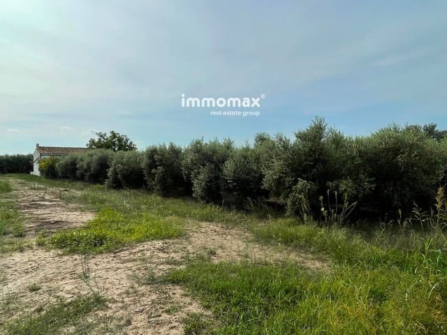 Undeveloped Land for sale in Tortosa - € 56,000 (Ref: 9311582)