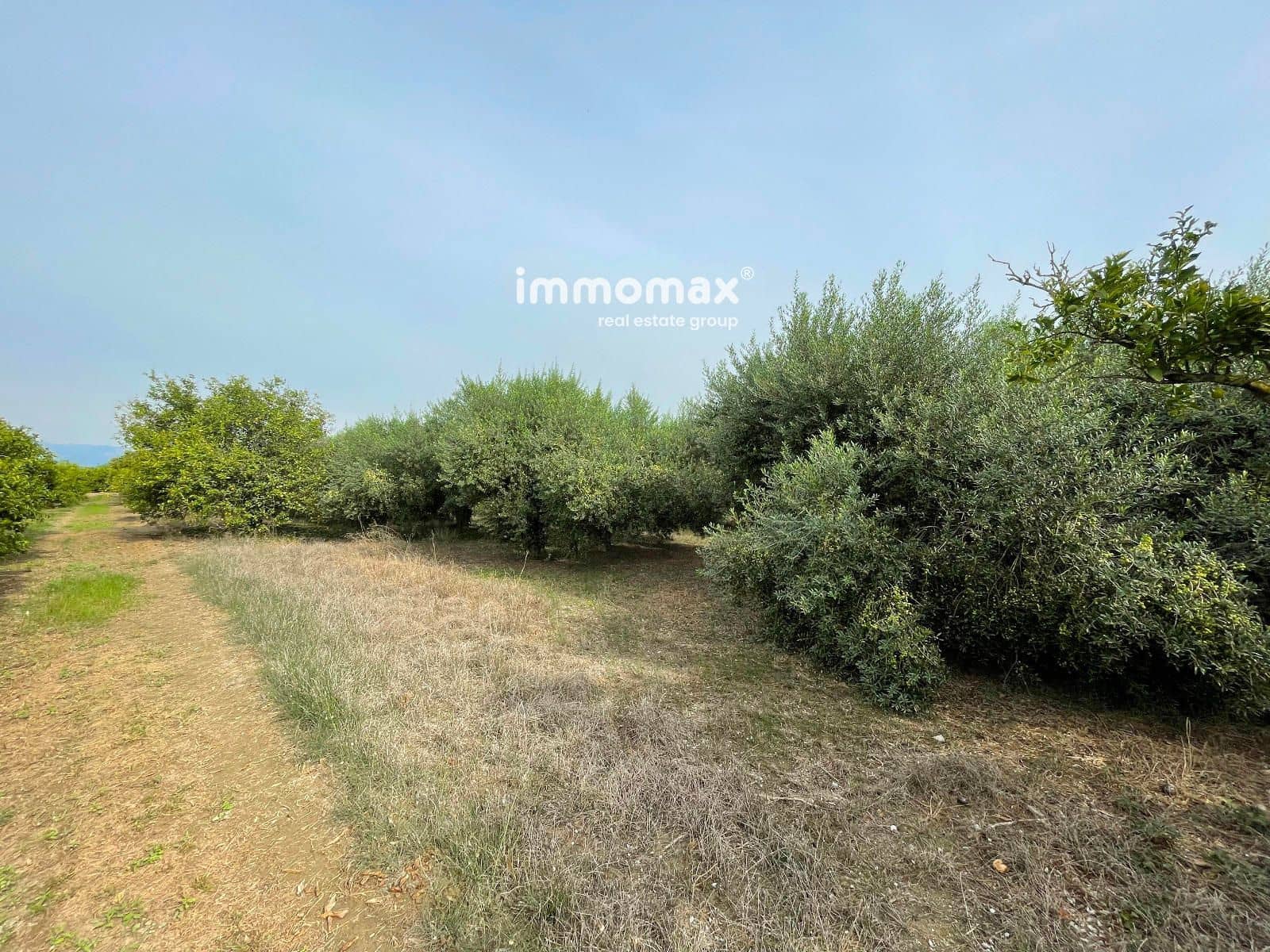 Grunde uden byggetilladelser til salg i Tortosa - € 56.000 (Ref: 9311582)