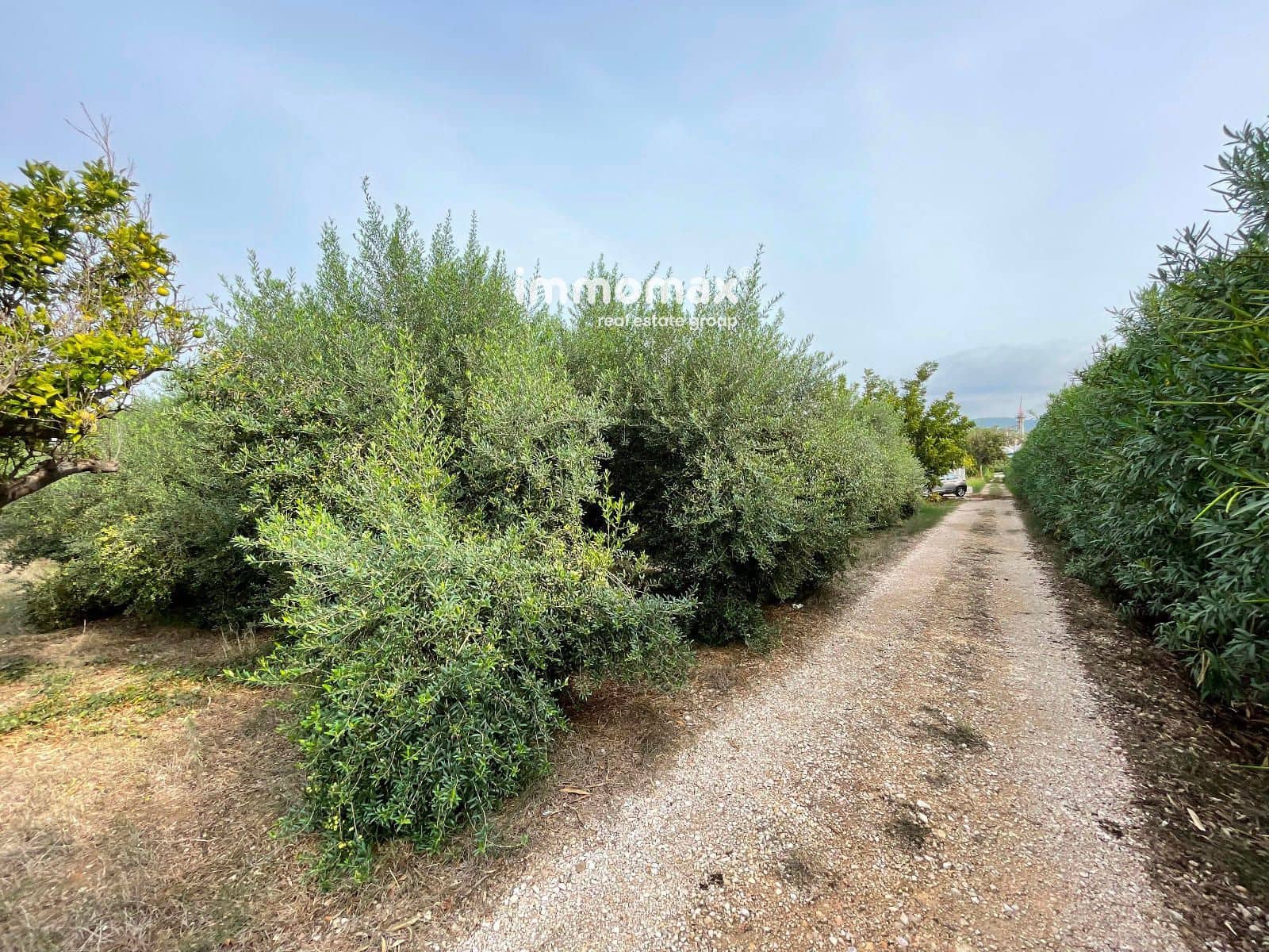 Grunde uden byggetilladelser til salg i Tortosa - € 56.000 (Ref: 9311582)