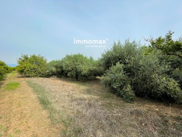 Undeveloped Land for sale in Tortosa - € 56,000 (Ref: 9311582)