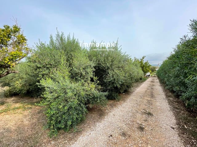 Undeveloped Land for sale in Tortosa - € 56,000 (Ref: 9311582)