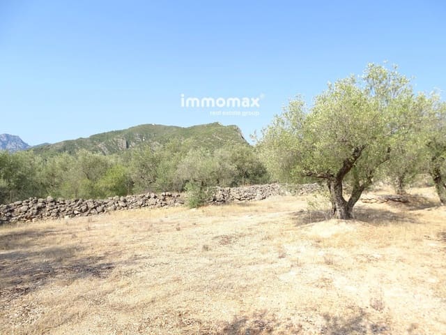 Undeveloped Land for sale in Xerta - € 17,000 (Ref: 9328626)