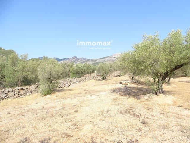 Undeveloped Land for sale in Xerta - € 17,000 (Ref: 9328626)