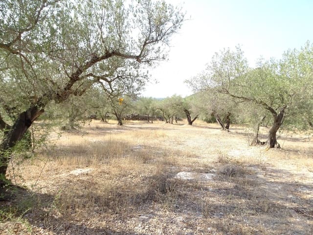 Undeveloped Land for sale in Xerta - € 17,000 (Ref: 9328626)