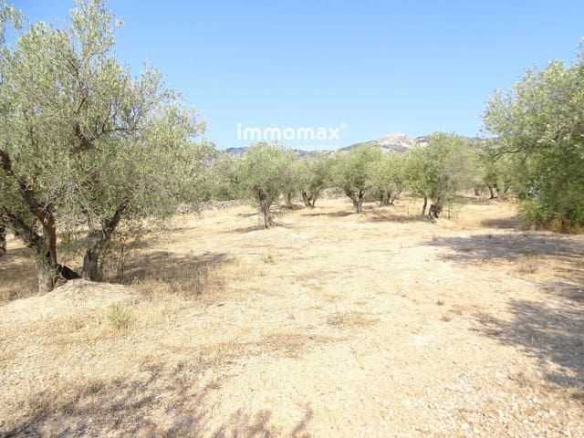 Undeveloped Land for sale in Xerta - € 17,000 (Ref: 9328626)